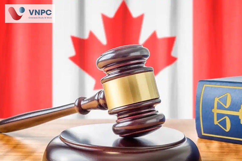 Đăng nhập King88 vina nhận +888K Canada ngành luật 
